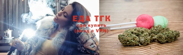 стаф Бородино