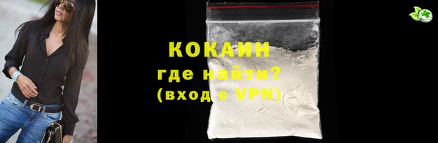 стафф Богородицк