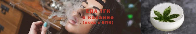 стаф Бородино