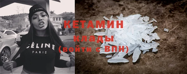 стаф Бородино