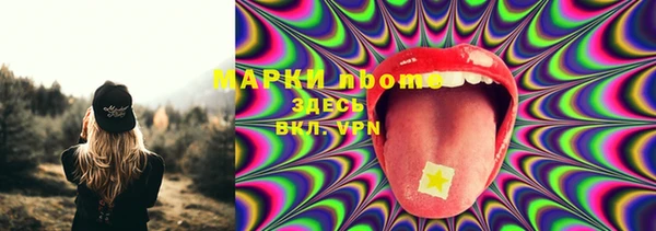 стаф Бородино